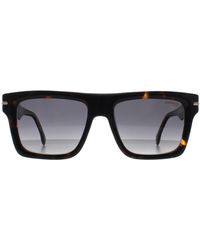 Carrera - Square Dark Havana Gradient 305/S - Lyst