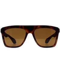 Gucci - Rectangle Dark Havana Gg1570S - Lyst