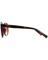 Ted Baker - Sunglasses Tb1677 Fleur 149 Double Champagne Demi Gradient - Lyst