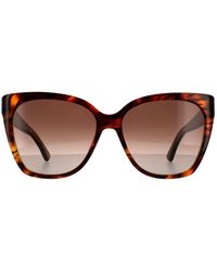 Moschino - Square Havana Gradient Sunglasses - Lyst