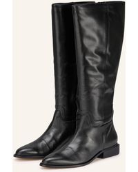 Dolce Vita - Stiefel VERDI - Lyst