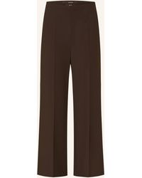 Windsor. - 78-Hose - Lyst