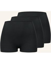 erlich textil - 3 PACK - SEAMLESS Slip Panty LIGHT TOUCH PANTY IM 3er PACK - Lyst