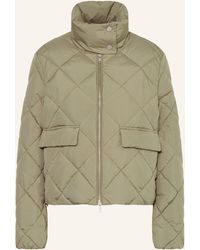 DARLING HARBOUR - Steppjacke - Lyst