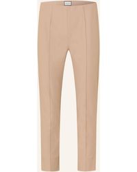 Seductive - 7/8-Hose CAPRI - Lyst