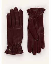 Roeckl Sports - Lederhandschuhe ANTWERPEN - Lyst
