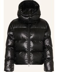 DARLING HARBOUR - Steppjacke - Lyst