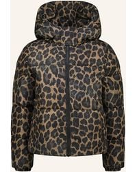Vingino - Steppjacke TIGELLE - Lyst