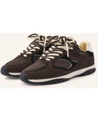 Nubikk - Sneaker BENNY MORGAN - Lyst