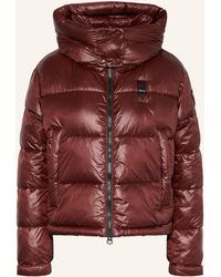 Blauer - Steppjacke GLORIA mit abnehmbarer Kapuze - Lyst