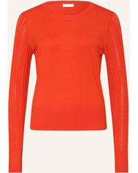 Hobbs - Pullover - Lyst
