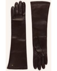 Max Mara - Lederhandschuhe AFIDEE - Lyst