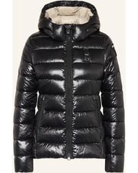 Blauer - Steppjacke CAROLL mit DUPONTTM SORONA®-Isolierung - Lyst