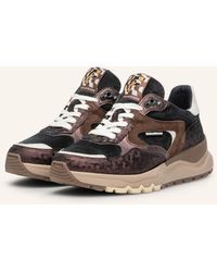 Floris Van Bommel - Sneaker TRENI 02 - Lyst