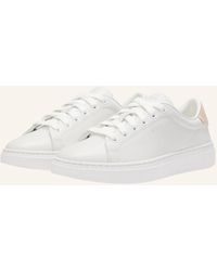 BOSS - Turnschuh KIERAN_TENN_GRW - Lyst