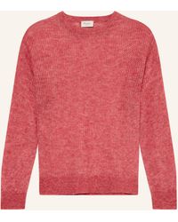 Maerz - Pullover mit Alpaka - Lyst