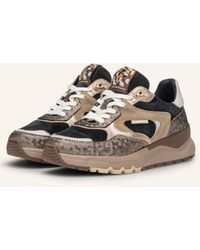 Floris Van Bommel - Sneaker TRENI 02 - Lyst