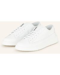Candice Cooper - Sneaker TEA - Lyst