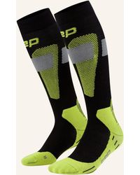 Cep - Skisocken SKI MERINO TALL 3.0 - Lyst