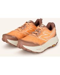 New Balance - Trailrunning-Schuhe FRESH FOAM X HIERRO V9 - Lyst