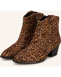 Ash - Cowboy Boots FAME - Lyst