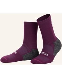 Rapha - Radsocken PRO TEAM WINTER mit Merinowolle - Lyst