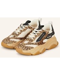 Steve Madden - Sneaker POSSESSIONL-E - Lyst