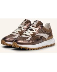 Floris Van Bommel - Sneaker NOPPI 46 - Lyst
