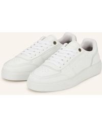 Represent - Sneaker INITIAL - Lyst