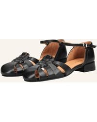 Pavement - Sandalen HENNA - Lyst