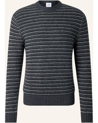Bogner - Kaschmir-Pullover Apollo - Lyst