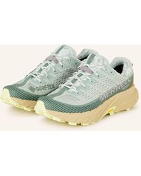 Merrell - Trailrunning-Schuhe AGILITY PEAK 5 GTX - Lyst