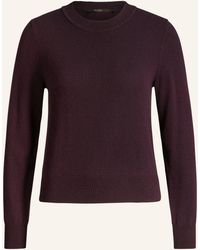 Windsor. - Cashmere-Pullover - Lyst