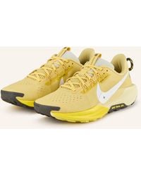 Nike - Trailrunning-Schuhe REACTX PEGASUS TRAIL 5 - Lyst