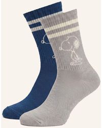 Codello - Socken - Lyst