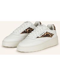 COPENHAGEN - Sneaker CPH89 - Lyst