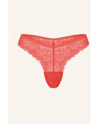 erlich textil - Dreamy Lace Brazil String aus nachhaltiger Spitze - atmungsaktiv - Lyst