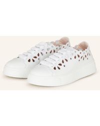 Agl Attilio Giusti Leombruni - Sneaker GIULY - Lyst
