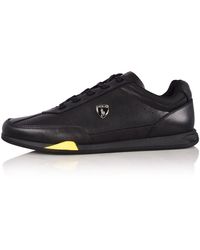polo sneakers mens price