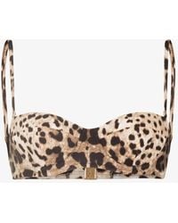 Dolce & Gabbana - Leopard Print Balconette Bikini Top - Women's - Polyamide/elastane - Lyst