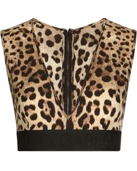 Dolce & Gabbana - Leopard Print Crop Top - Women's - Silk/elastane - Lyst
