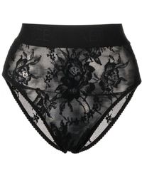 Dolce & Gabbana - Floral-lace High-waist Briefs - Lyst