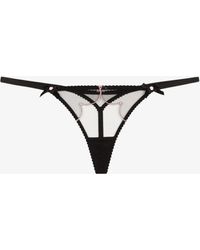 Agent Provocateur - Lorna Tulle Thong - Women's - Cotton/polyamide/elastane - Lyst