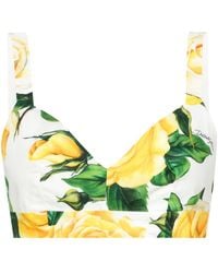 Dolce & Gabbana - Rose-print Bra Top - Women's - Cotton/elastane - Lyst