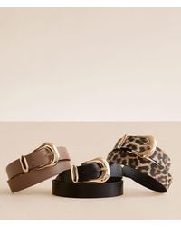 BKE - 3 Pack Belt Set - Lyst