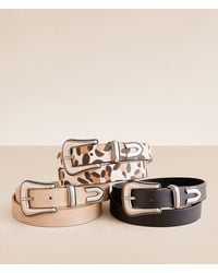 BKE - 3 Pack Mixed Belt Set - Lyst