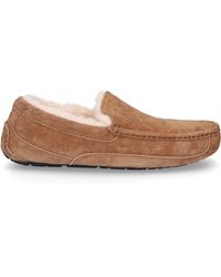 mens ugg ascot slippers on sale