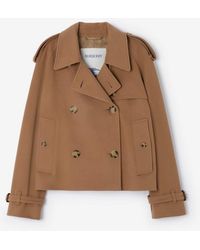 Burberry - Cropped Cashmere Mayfair Trench Jacket - Lyst