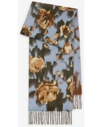 Burberry - Rose Alpaca Wool Blend Scarf - Lyst