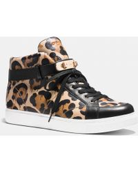 coach bonney high top sneakers